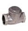 1/2" Stainless Steel Threaded Swing Check Valve