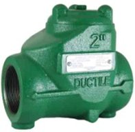 1" Ductile Iron 2000 PSI Thd Swing Check